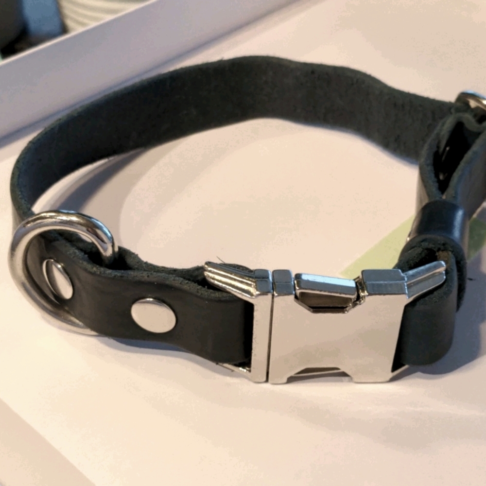 Leather Dog Collar